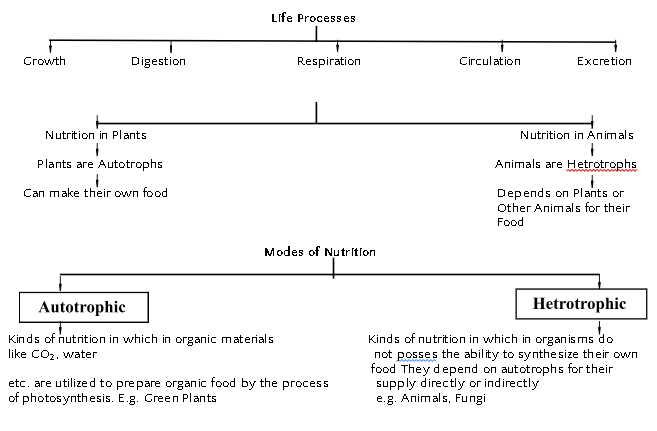 life process
